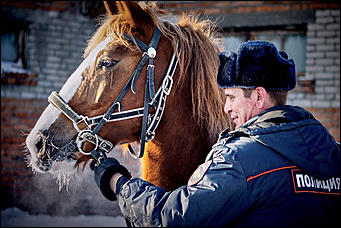 20 январь 2016 г., Барнаул © Амител. Мария Трубина Барнаульская конная полиция в действии