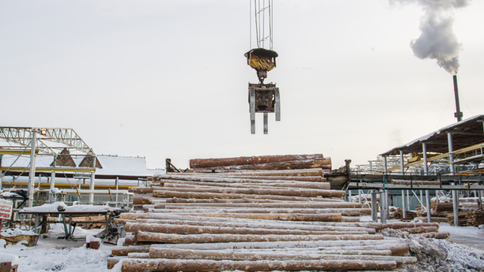 23 ноябрь 2016 г., Барнаул &copy; Амител Вячеслав Мельников   Фоторепортаж с современного деревоперерабатывающего производства