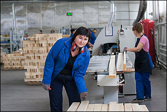 23 ноябрь 2016 г., Барнаул © Амител Вячеслав Мельников   Фоторепортаж с современного деревоперерабатывающего производства