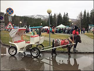 2.05.2019   Снег, цветущий маральник и безудержное веселье: на Алтае открыли летний турсезон