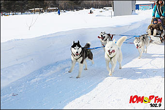 25 февраль 2015 г., Барнаул   Масленица "Блин КОМ'ON" с Юмор FM Барнаул