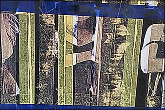 17 сентября 2008 г., Барнаул   Выставка эротической фотографии "Магия НЮ"