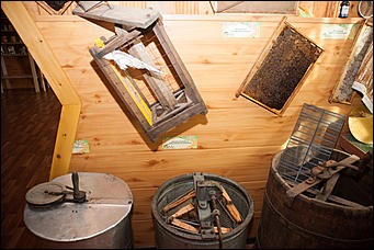 26 июля 2017 г., п Новый   Как французы алтайский мёд пробовали