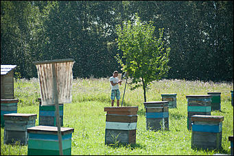 26 июля 2017 г., п Новый   Как французы алтайский мёд пробовали