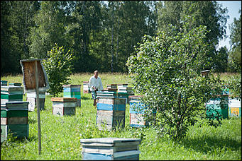 26 июля 2017 г., п Новый   Как французы алтайский мёд пробовали