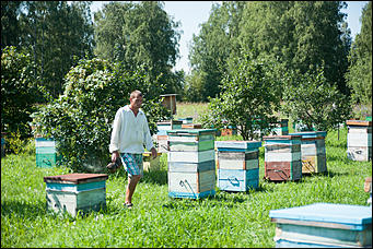 26 июля 2017 г., п Новый   Как французы алтайский мёд пробовали