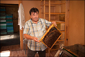 26 июля 2017 г., п Новый   Как французы алтайский мёд пробовали