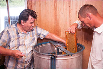 26 июля 2017 г., п Новый   Как французы алтайский мёд пробовали