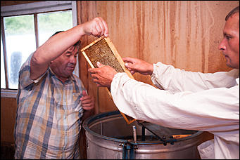 26 июля 2017 г., п Новый   Как французы алтайский мёд пробовали