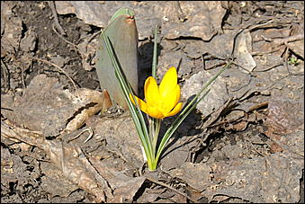 12 апреля 2007 г., Барнаул   В Барнауле прошел "чистый четверг"