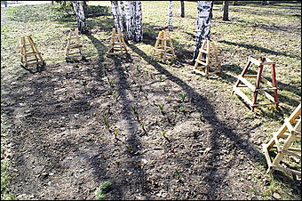 12 апреля 2007 г., Барнаул   В Барнауле прошел "чистый четверг"