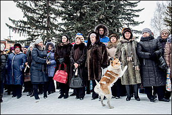 13 февраль 2016 г., Барнаул © Амител Вячеслав Мельников    На родине Героя России Пешкова открыли мемориальную доску с его именем 