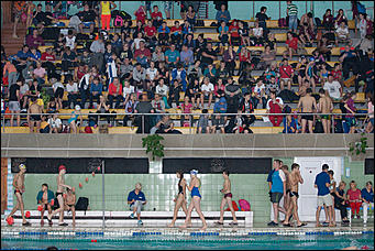 1 ноябрь 2016 г., Барнаул © Амител Вячеслав Мельников   Кубок Сибири по плаванию