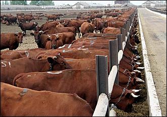 2-3 июня 2006г. Алтайский край   Рабочая поездка Александра Карлина