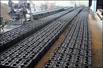 2-3 июня 2006г. Алтайский край   Рабочая поездка Александра Карлина