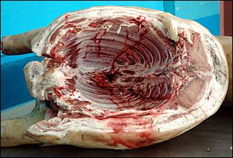 22 ноября 2006 г., Барнаул   Выездное совещание по организации работы «Крытого рынка»