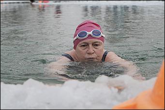 моржи барнаул