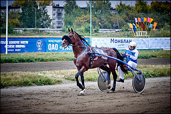 21 сентябрь 2015 г., Барнаул    В Барнауле прошли скачки "Grand-Prix Радио Монте-Карло"