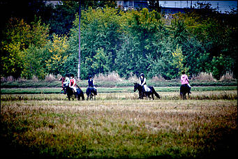 21 сентябрь 2015 г., Барнаул    В Барнауле прошли скачки "Grand-Prix Радио Монте-Карло"