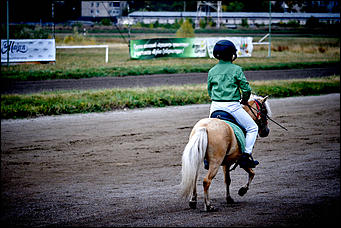 21 сентябрь 2015 г., Барнаул    В Барнауле прошли скачки "Grand-Prix Радио Монте-Карло"