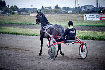 21 сентябрь 2015 г., Барнаул    В Барнауле прошли скачки "Grand-Prix Радио Монте-Карло"