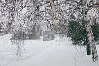 Снегопад в Барнауле    "Не выбирая места на ночлег, белыми стаями падает снег"