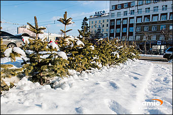 18 март 2016 г., Барнаул  © Амител Вячеслав Мельников   Весна и снег: Барнаул после снегопада   