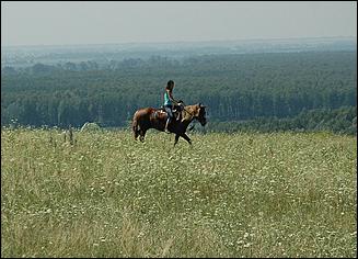 23 июля с.Сростки   Шукшинские чтения-2006