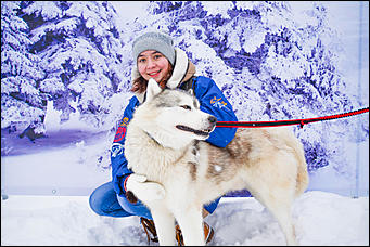 17.12.2016   "Стрела Ульгеня-2016": как прошла крупнейшая гонка на собачьих упряжках