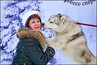 17.12.2016   "Стрела Ульгеня-2016": как прошла крупнейшая гонка на собачьих упряжках