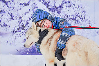 17.12.2016   "Стрела Ульгеня-2016": как прошла крупнейшая гонка на собачьих упряжках