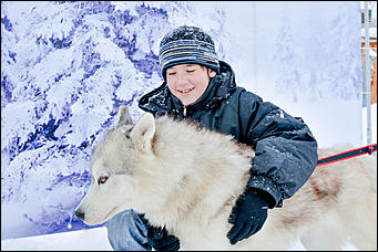 17.12.2016   "Стрела Ульгеня-2016": как прошла крупнейшая гонка на собачьих упряжках