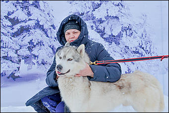 17.12.2016   "Стрела Ульгеня-2016": как прошла крупнейшая гонка на собачьих упряжках