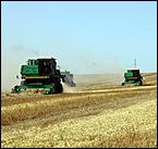 8 сентября 2006 г., Барнаул   Уборочная компания в Усть-Калманском районе Алтайского края