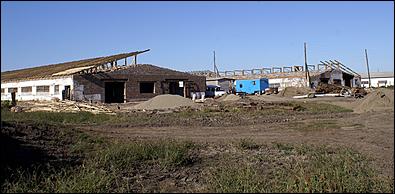 8 сентября 2006 г., Барнаул   Уборочная компания в Усть-Калманском районе Алтайского края
