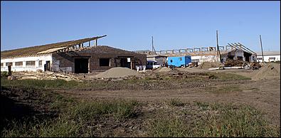 8 сентября 2006 г., Барнаул   Уборочная компания в Усть-Калманском районе Алтайского края