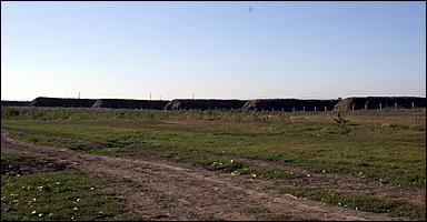 8 сентября 2006 г., Барнаул   Уборочная компания в Усть-Калманском районе Алтайского края