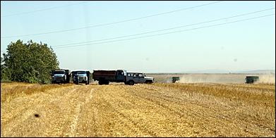 8 сентября 2006 г., Барнаул   Уборочная компания в Усть-Калманском районе Алтайского края