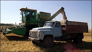 8 сентября 2006 г., Барнаул   Уборочная компания в Усть-Калманском районе Алтайского края