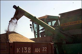 8 сентября 2006 г., Барнаул   Уборочная компания в Усть-Калманском районе Алтайского края