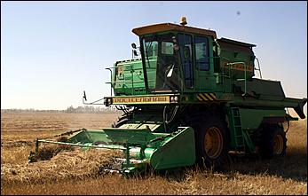 8 сентября 2006 г., Барнаул   Уборочная компания в Усть-Калманском районе Алтайского края