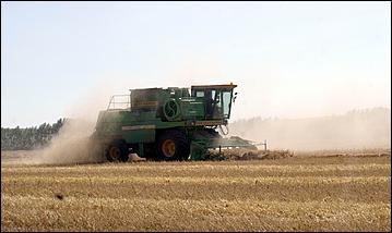 8 сентября 2006 г., Барнаул   Уборочная компания в Усть-Калманском районе Алтайского края