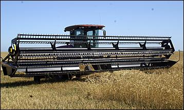 8 сентября 2006 г., Барнаул   Уборочная компания в Усть-Калманском районе Алтайского края