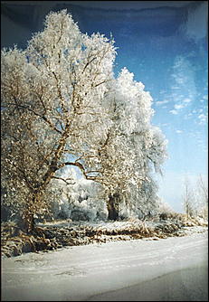 15 февраля 2007 г., Барнаул   В Барнауле открылась фотовыставка "Березовые песни", посвященная 70-летию Алтайского края
