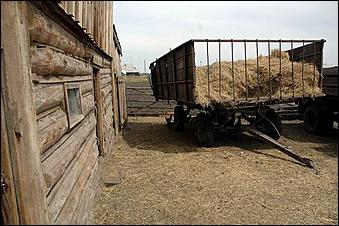 2 июня 2006 г. с. Ребриха   <P>Выездное заседание АРО ПП "Единая Россия"</P>