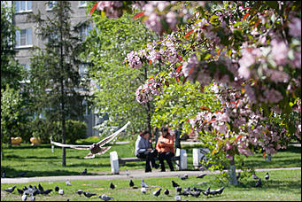 17 май 2016 г., Барнаул   "Один раз в год сады цветут". Барнаул в цвету яблонь 