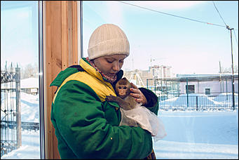 11 января 2016 г    В гостях у молодоженов Василия и Маси