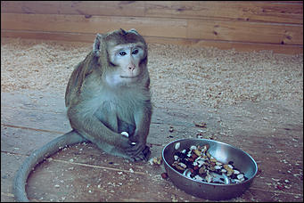 11 января 2016 г    В гостях у молодоженов Василия и Маси