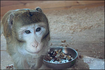 11 января 2016 г    В гостях у молодоженов Василия и Маси