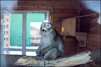 11 января 2016 г    В гостях у молодоженов Василия и Маси